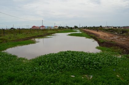 Drainage Canal at Bushlot