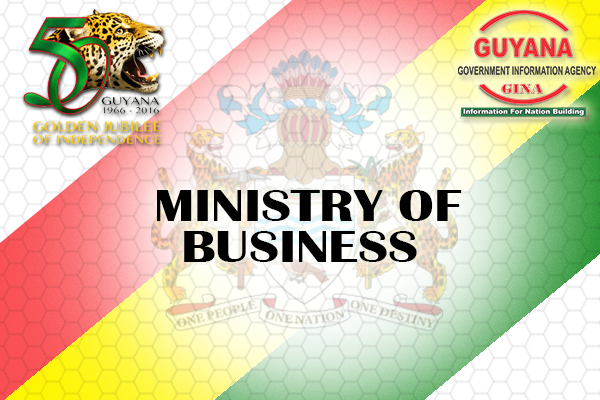 Importers, local manufacturers must be registered before selling certain commodities – GNBS