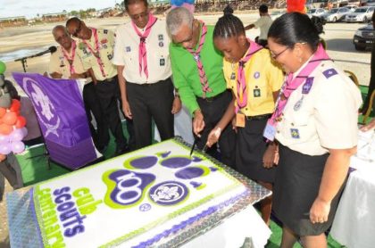 Mr. Ramsey Ali, Ms. Joaquin and other Scouts watch on as President Granger cuts the cake to celebrate the centennial anniversary of Scouting.
