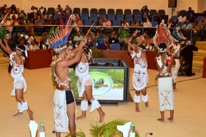 Members of the Surama Cultural Group performing for the audience 20th anniversary celebrations at the Arthur Chung Convention Centre 