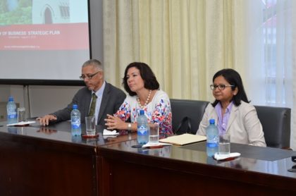 Facilitators of the consultation. Seated at the head table from left to right; Minister of Business Dominic Gaskin, Consultant Nathalie Cely and Deputy Resident Representative UNDP Shabnam Mallick