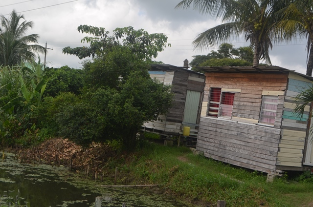 Squatter settlements will not be tolerated – Valerie Patterson