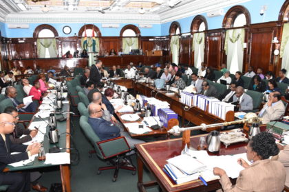 The National Assembly in session on Monday