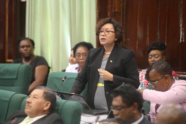 Budget 2018 ‘fit and proper’- Minister Garrido-Lowe