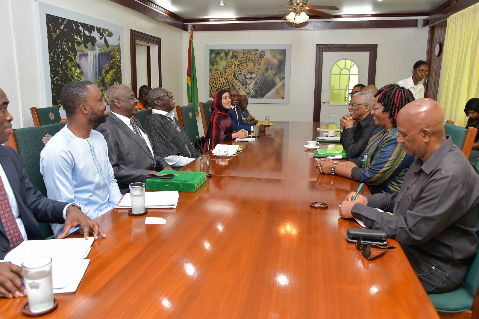 African Union Commission pays courtesy call on President Granger – DPI ...
