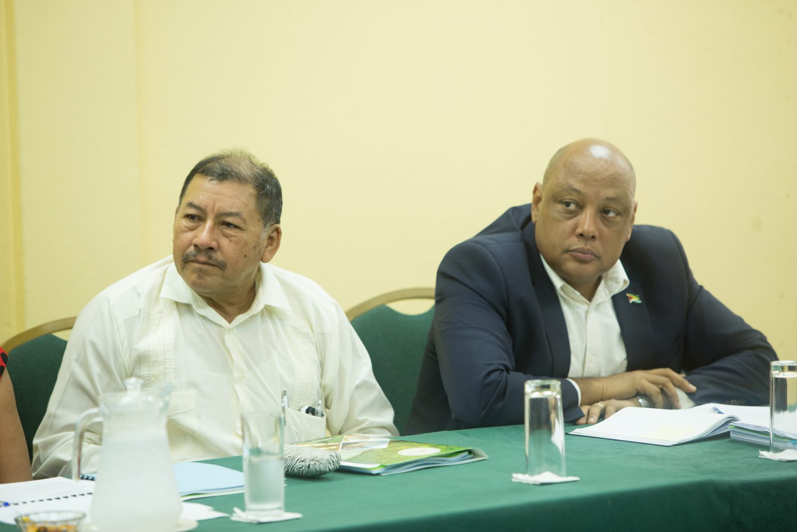 Key stakeholders meet to advance phasing out use of mercury