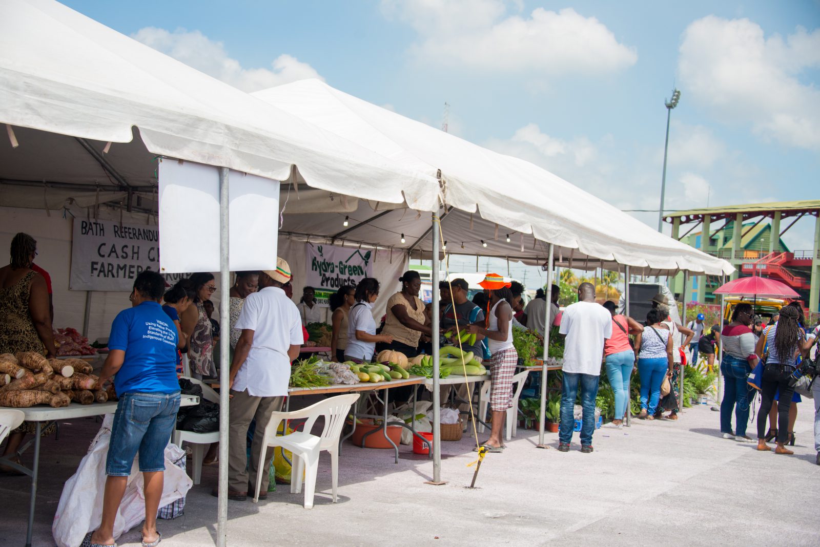 UncappeD – propelling small businesses in Guyana – DPI Guyana