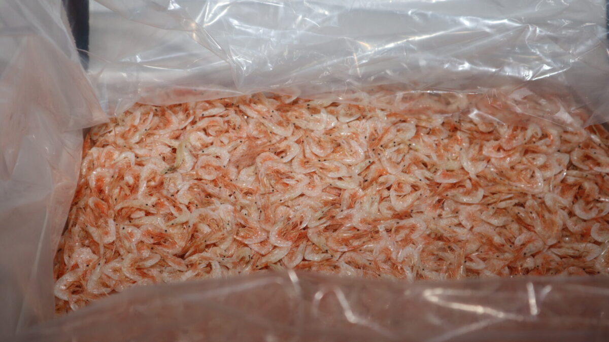 Chinese seafood processing facility providing markets for Guyanese