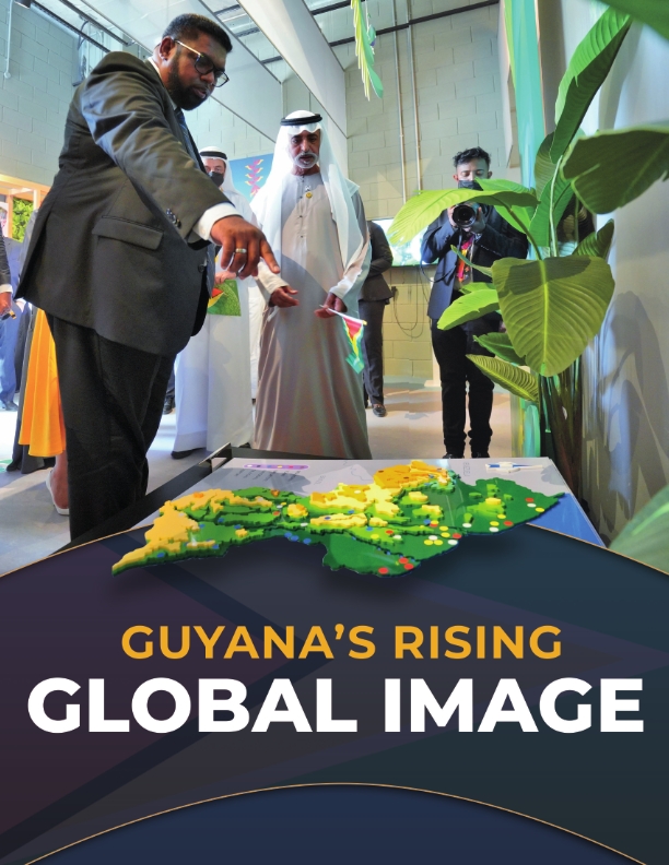 Guyanas Rising Global Image Feature 