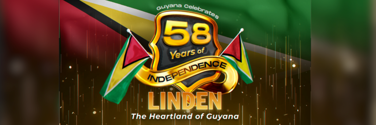 DPI Guyana